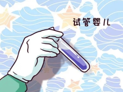 试管供卵代孕公司